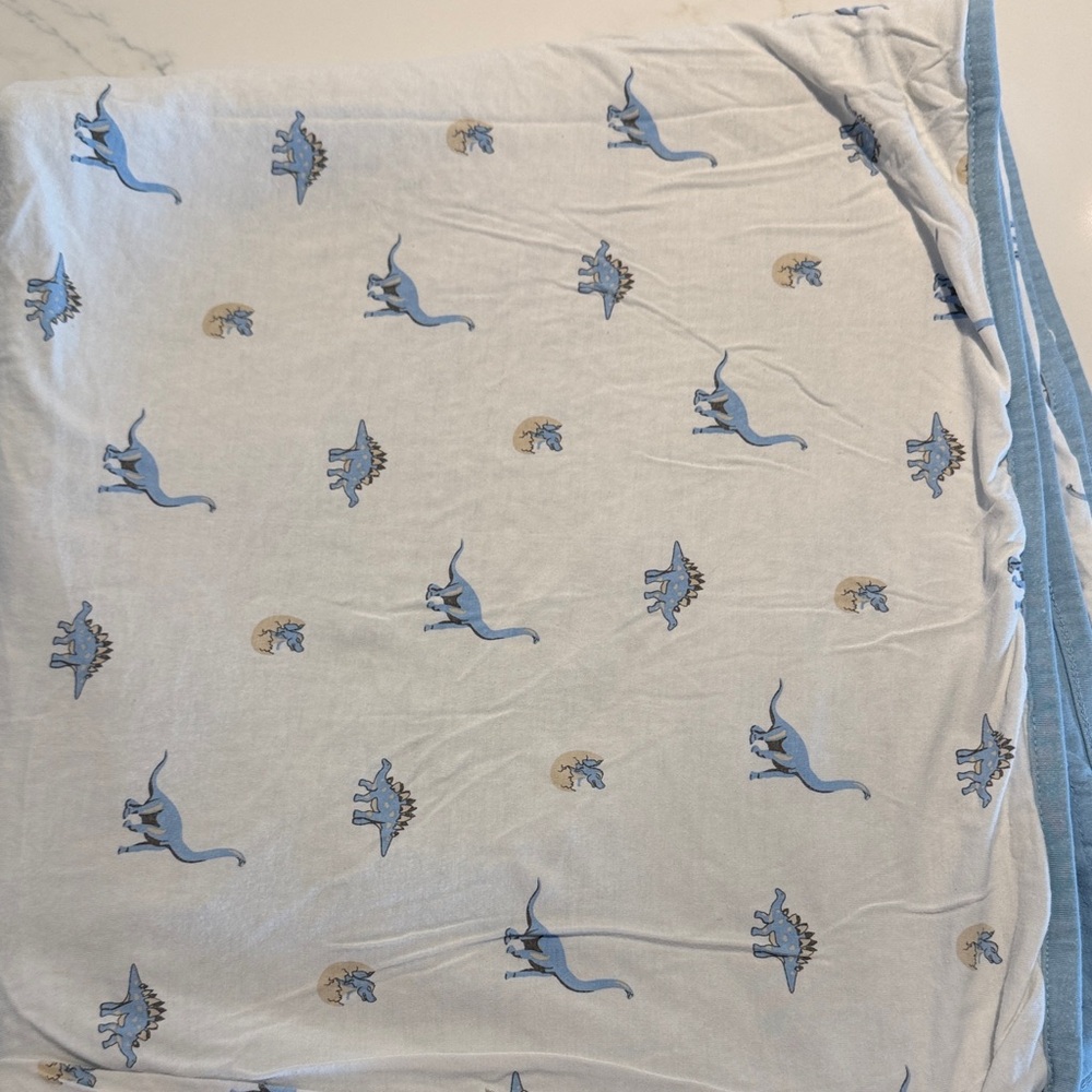 Kyte baby Dino blanket